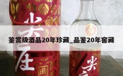 鉴赏级酒品20年珍藏_品鉴20年窖藏